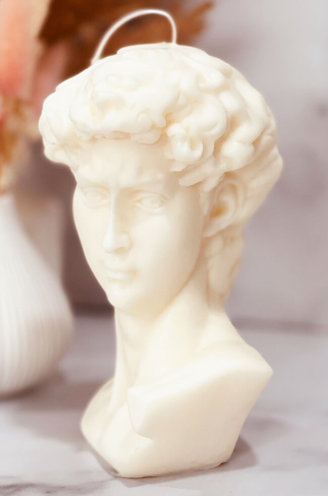 The Light of David image 3