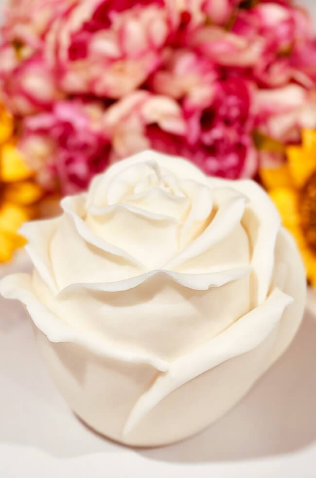 The Rose of Light Large image 2